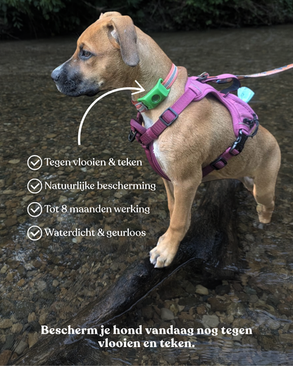Bescherm je hond tegen gevaarlijke teken — vóórdat ze bijten.